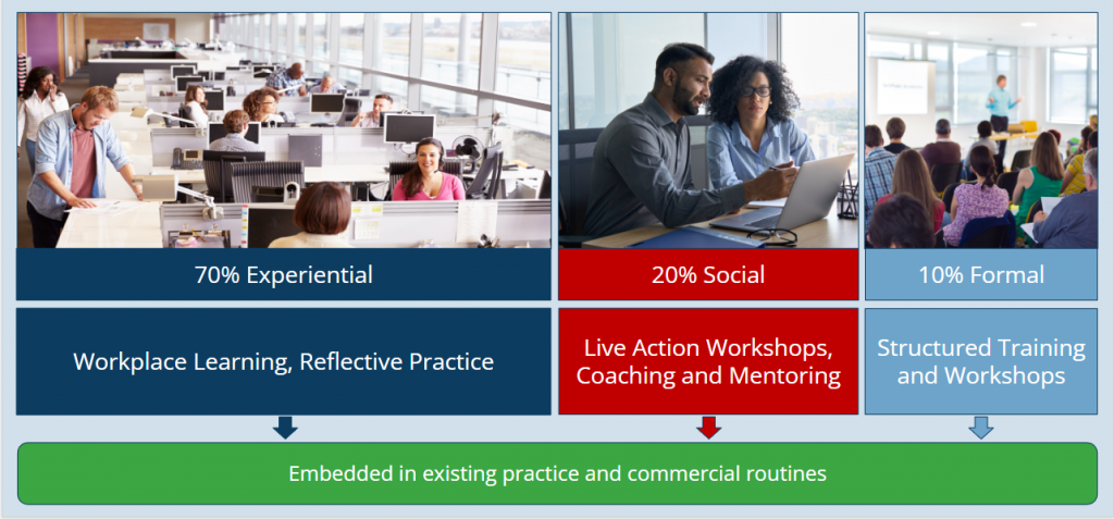 Our flexible approach to building Capability is tailored to your needs and your staff's learning styles